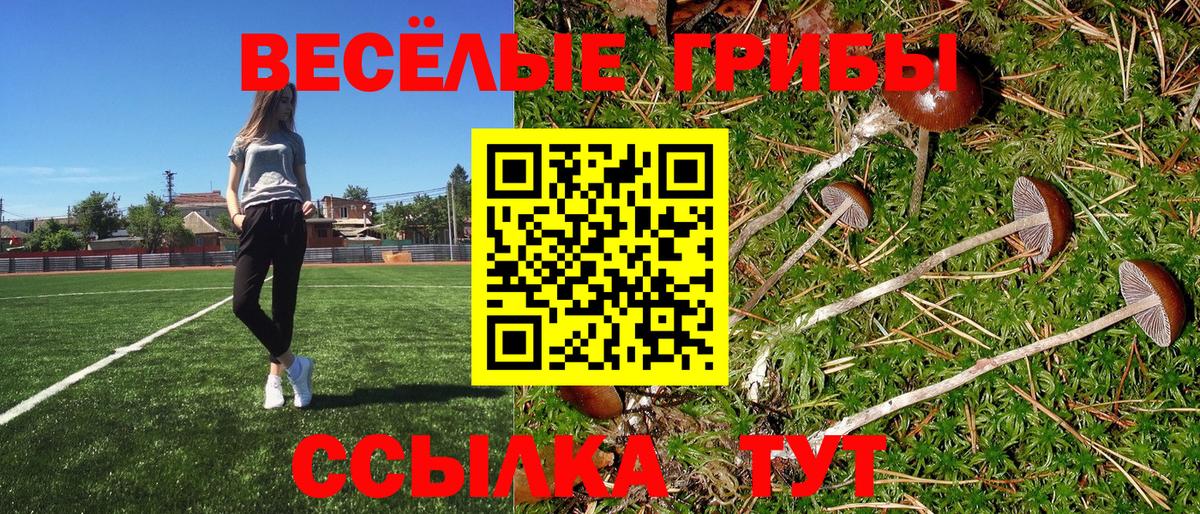 Галлюциногенные грибы Psilocybine cubensis Лысьва