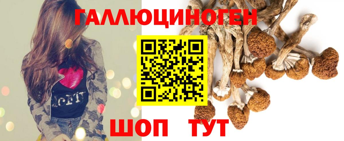 Галлюциногенные грибы прущие грибы  Вход с VPN  купить   Лысьва  Псилоцибиновые грибы прущие грибы 
